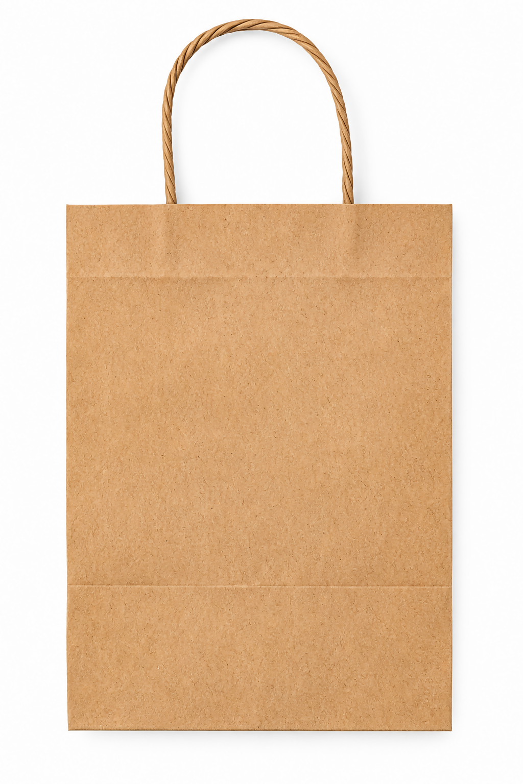 Medium Kraft Paper Gift Bags with Twisted Handles