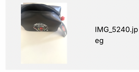Stranger Things Pouch/Bag