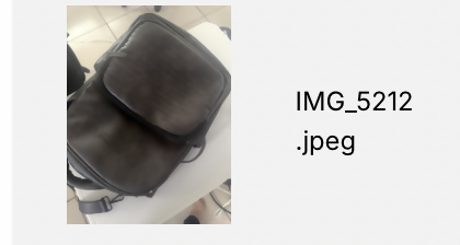 Kenneth Cole Executive Backpack