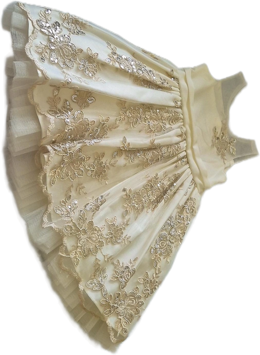 American Princess Toddler Girls Formal Dress in the size 2T