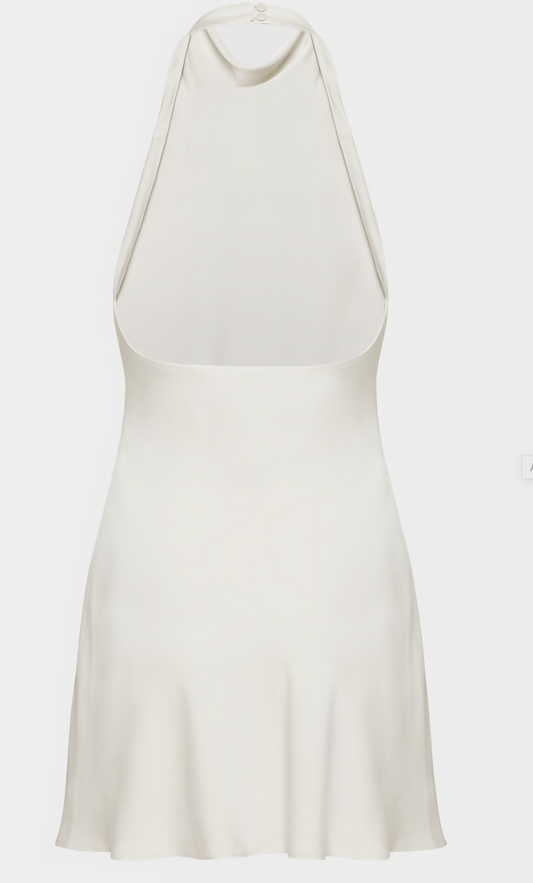 Aritzia Babaton Audience Satin Mini Dress