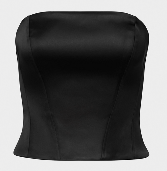 Aritzia Ten Castle Satin Bustier