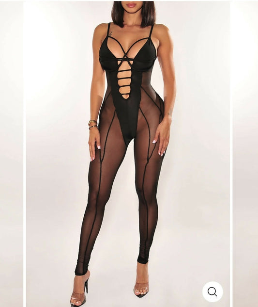 Hotmiamistyles sheer jumpsuit