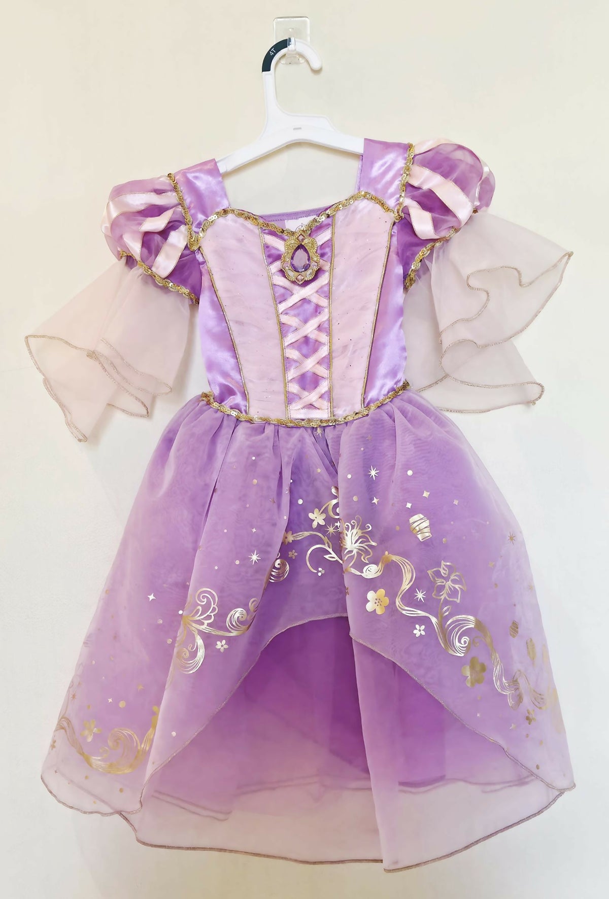 Disney Rapunzel Costume