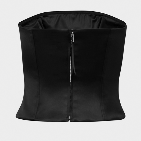 Aritzia Ten Castle Satin Bustier