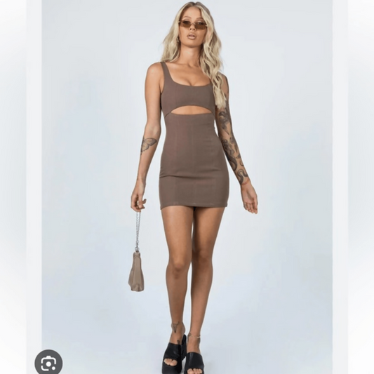 Princess Polly Hudson Mini Brown Dress
