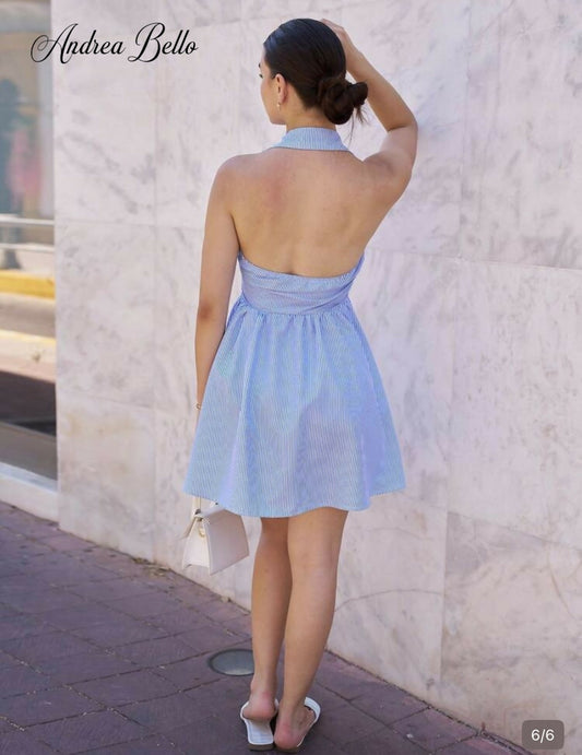 Blue Collar Casual Striped Dress