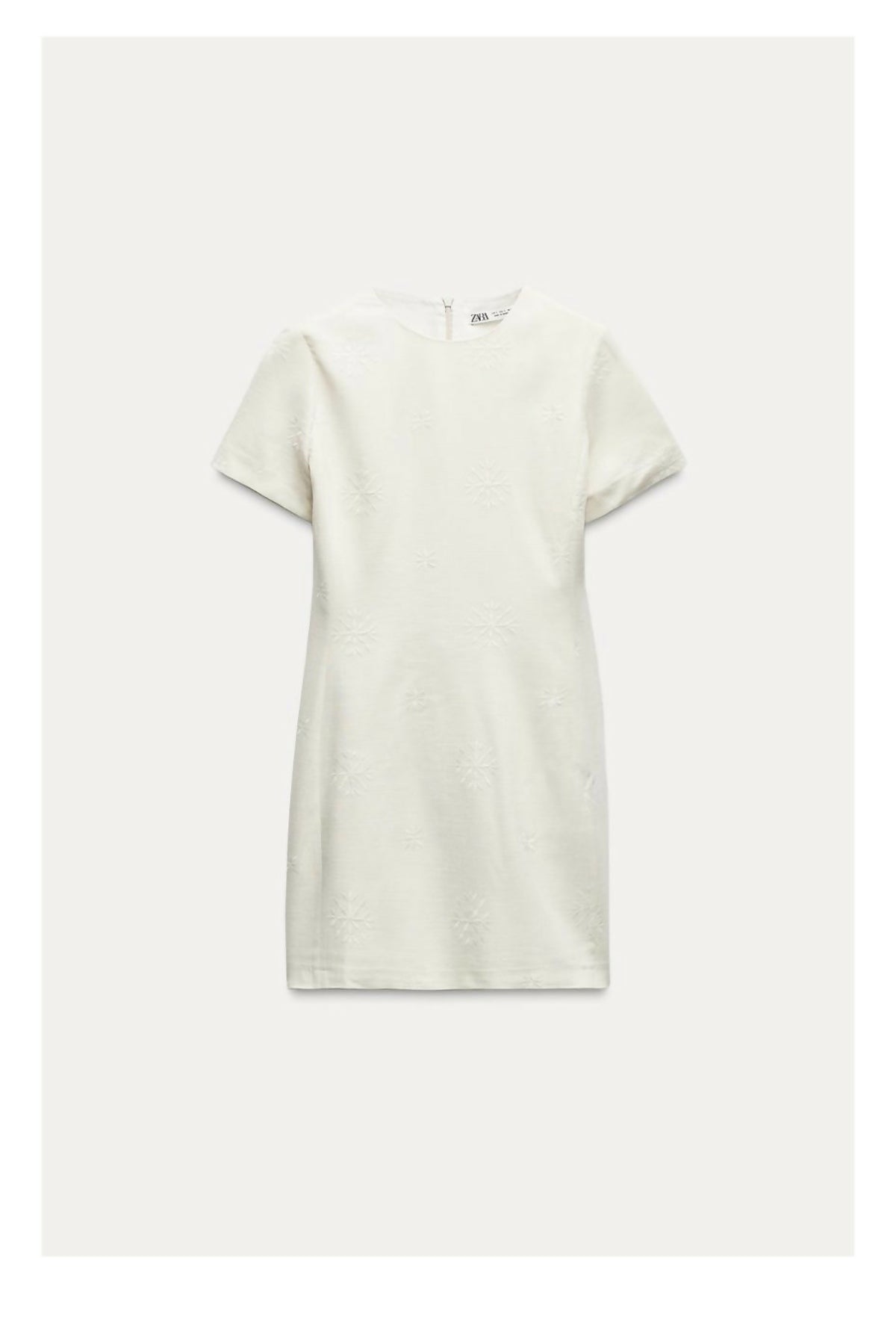 Zara Embroidered Mini Dress