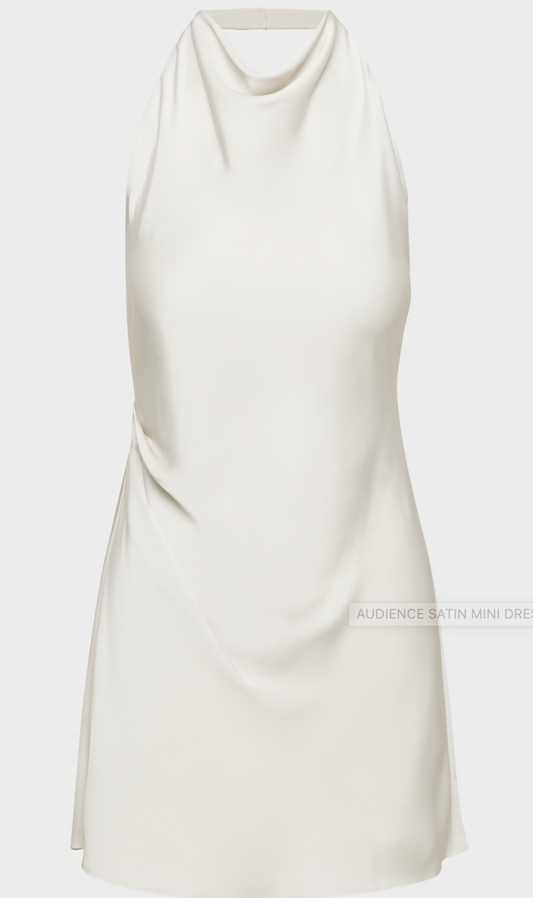 Aritzia Babaton Audience Satin Mini Dress