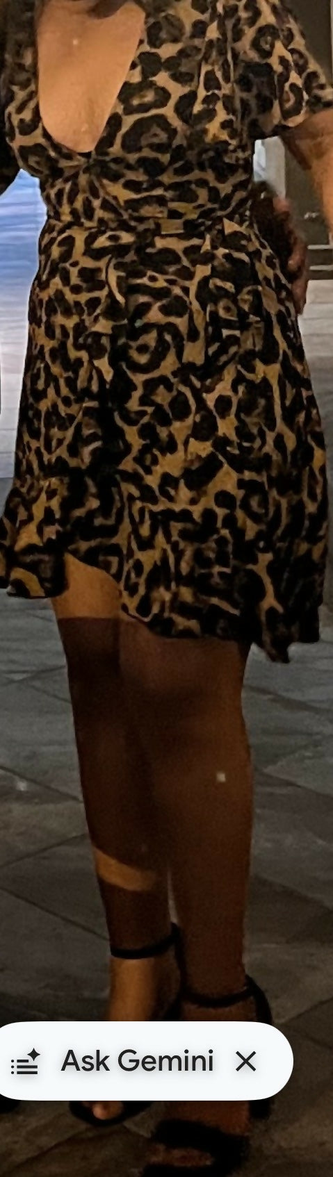 Short Animal Print Dress