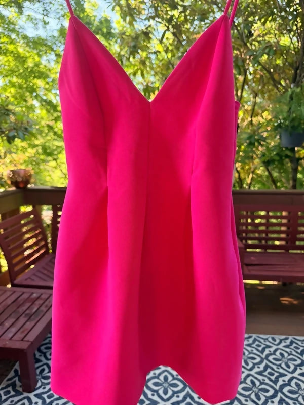 Zara Fit and Flare Pleated V-Neck Mini Dress